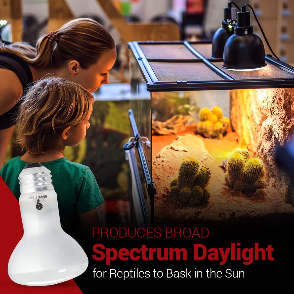 Bluex Bulbs reptile-health-boost illustrates warmth for daytime activity.