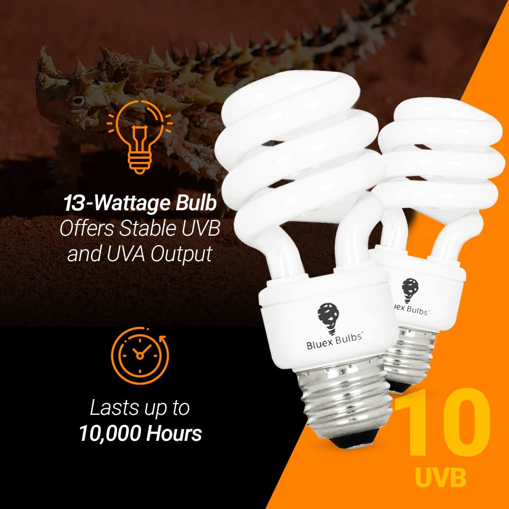 Bluex Bulbs UVB 10.0 in a terrarium scene promoting natural behaviors