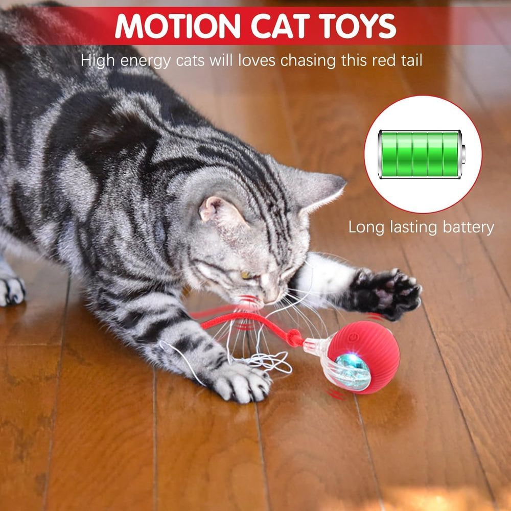 blueypet Automatic Interactive Rolling Ball cat-engagement capture promotes exercise and curiosity.
