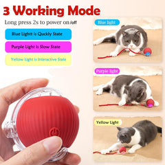 blueypet Automatic Interactive Rolling Ball in-action highlights autonomous motion and nonstop play potential.