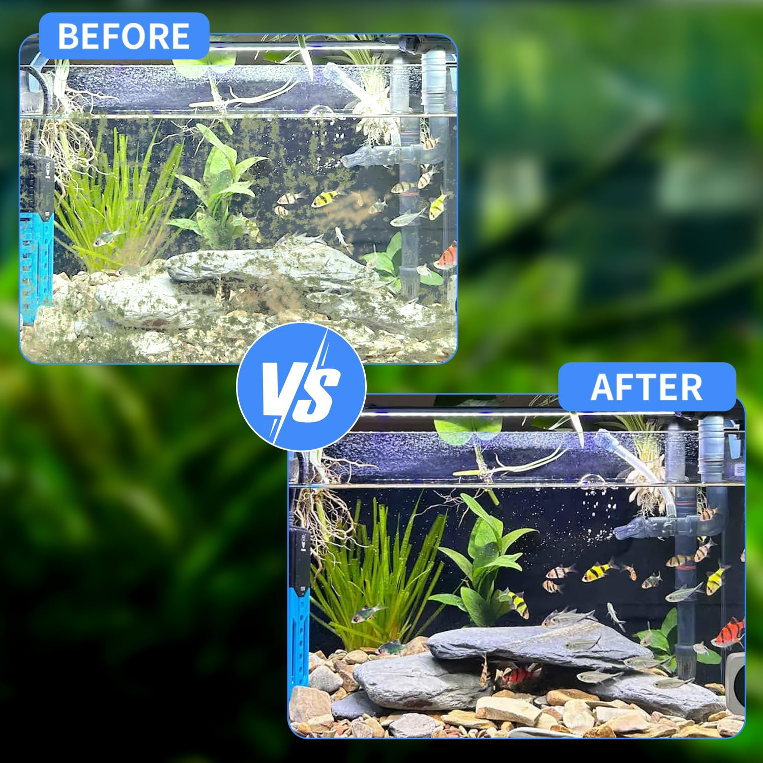 BlueYu floating design aquarium cleaner sits on water surface for easy retrieval