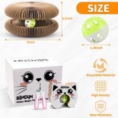 BluGun cat accordion toy multi-form play for versatile scratching
