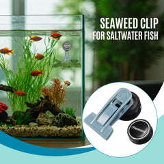Blulu algae magnet feeder mounted on aquarium glass indicating tank compatibility.