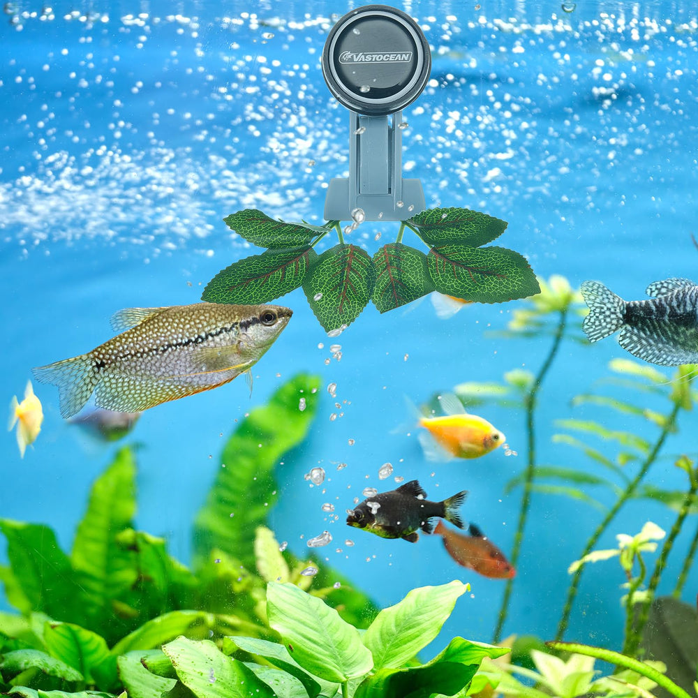 Blulu compact saltwater tank accessory ideal for portable, on-the-go feeding.