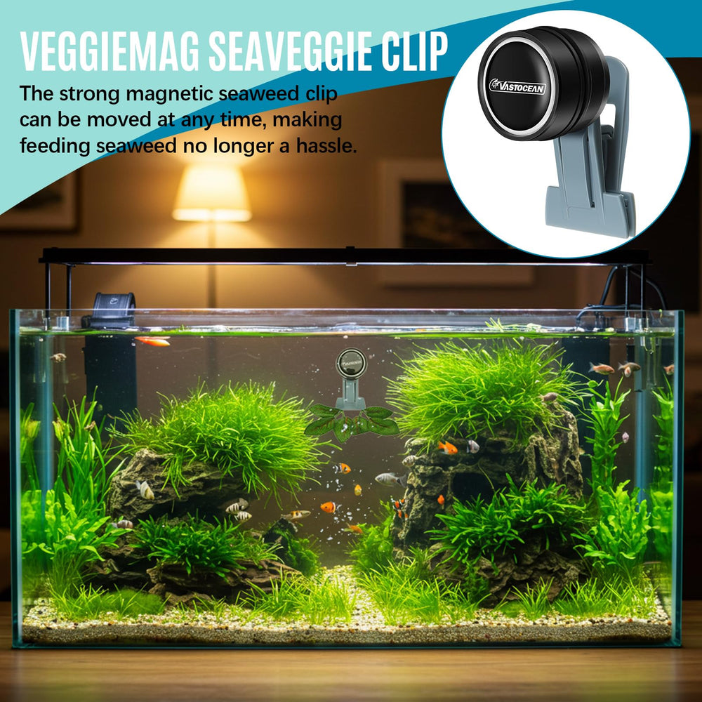 Blulu seaweed clip size compatibility helps fit tanks up to 12 mm glass.