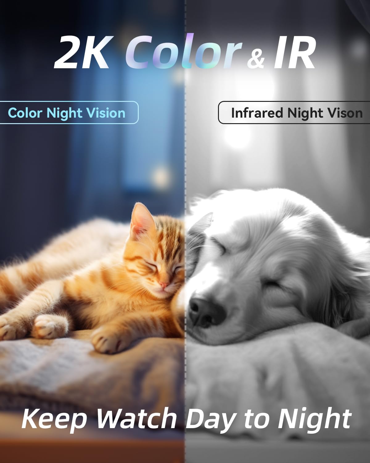 blurams pet camera 2k color night vision for low-light moments