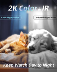 blurams pet camera 2k color night vision for low-light moments