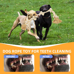 Bmag dog rope toy teeth-cleaning detail for healthier gums during chew sessions
