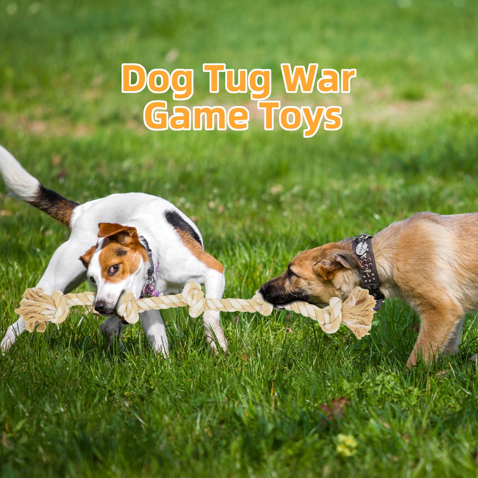 Bmag dog rope toy tug-of-war action promotes bonding and interactive games