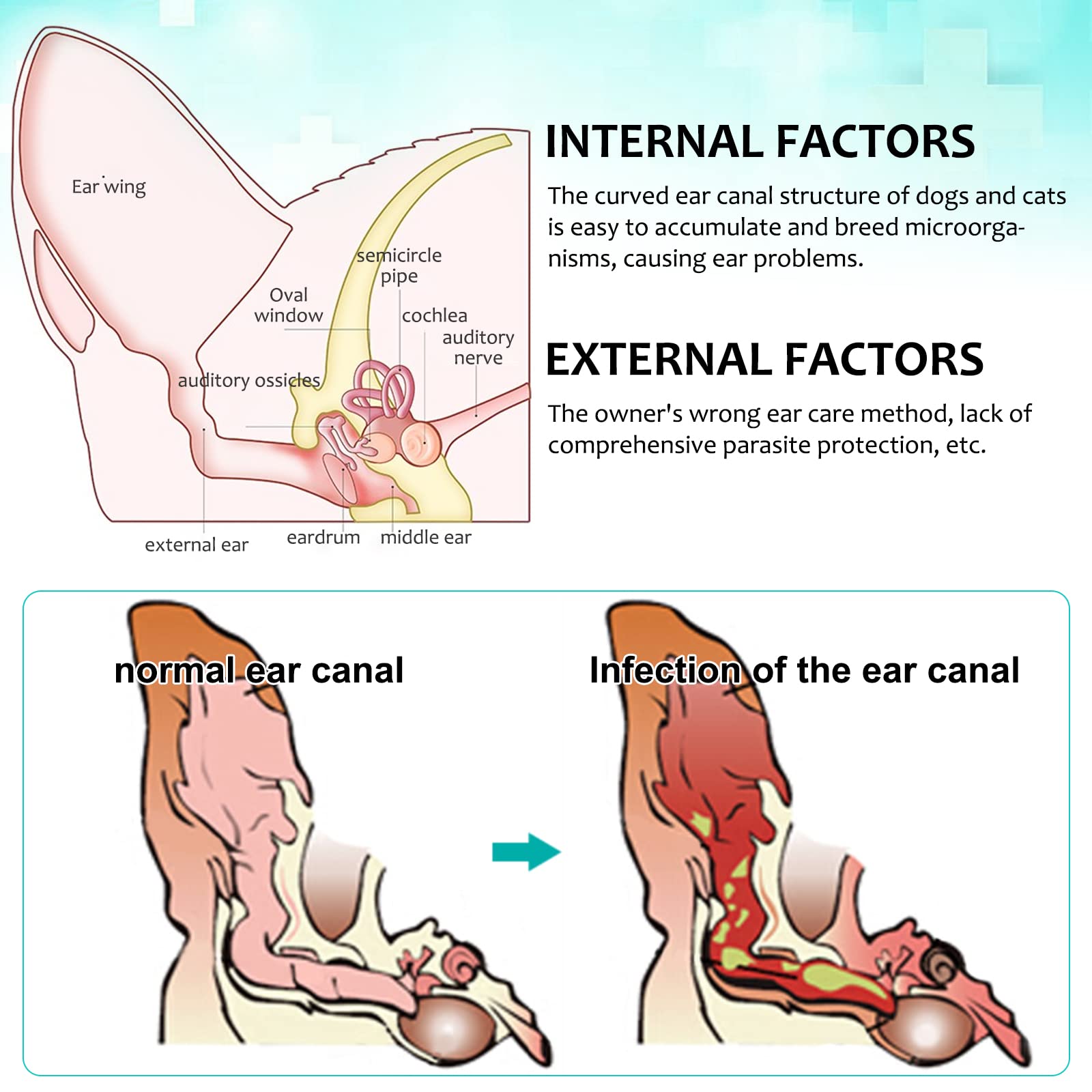 bnHUlMXw ear-discharge-cleaning with cotton ball in use.