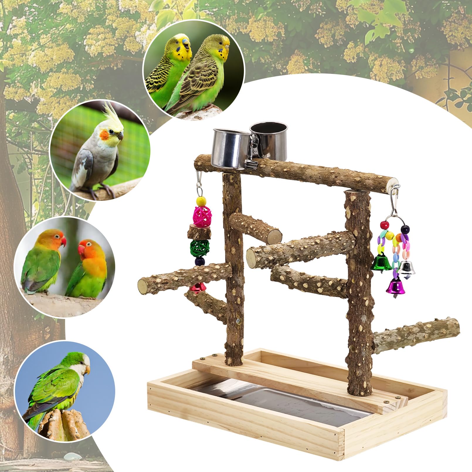 BNOSDM compact 13.7x9.6x14.4 inch footprint fits small to medium birds