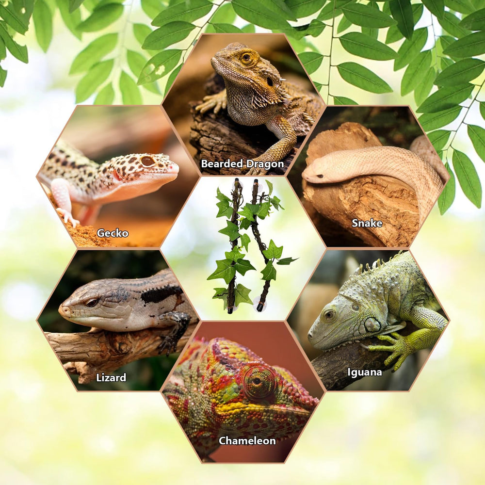 BNOSDM chameleon gecko tree frog vine provides natural hide-and-perch