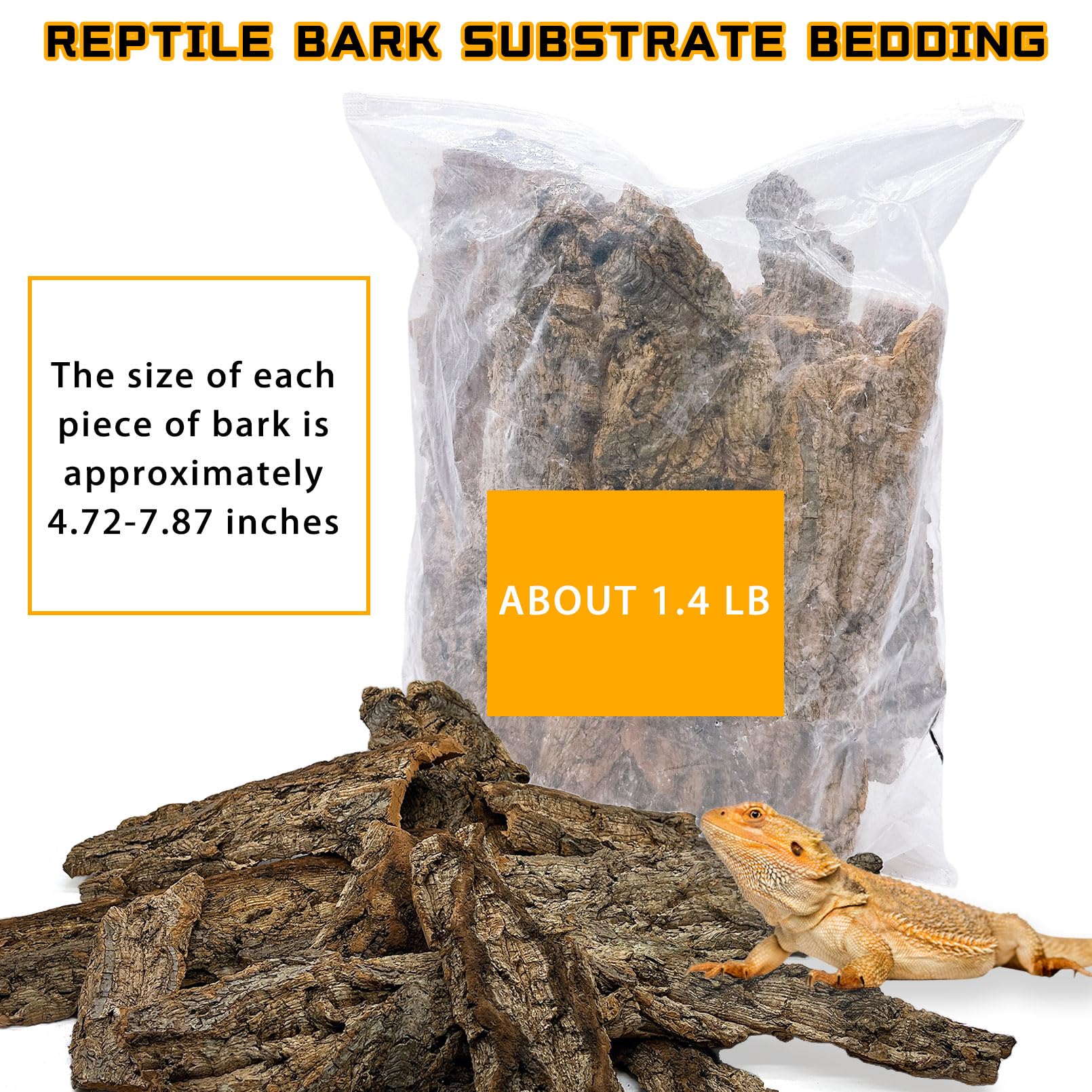 BNOSDM cork bark habitat scene demonstrates moisture retention for healthier terrarium humidity.