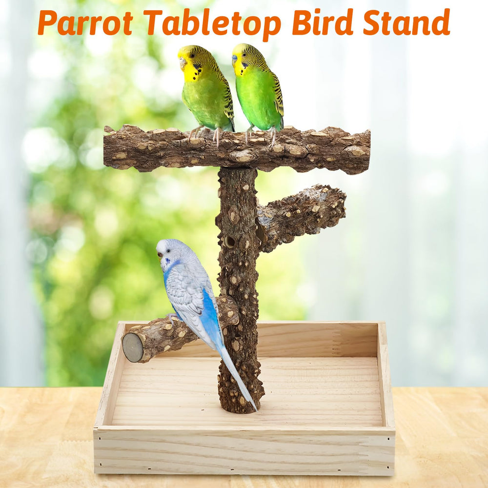 BNOSDM table-top bird perch with dimensions for compact spaces