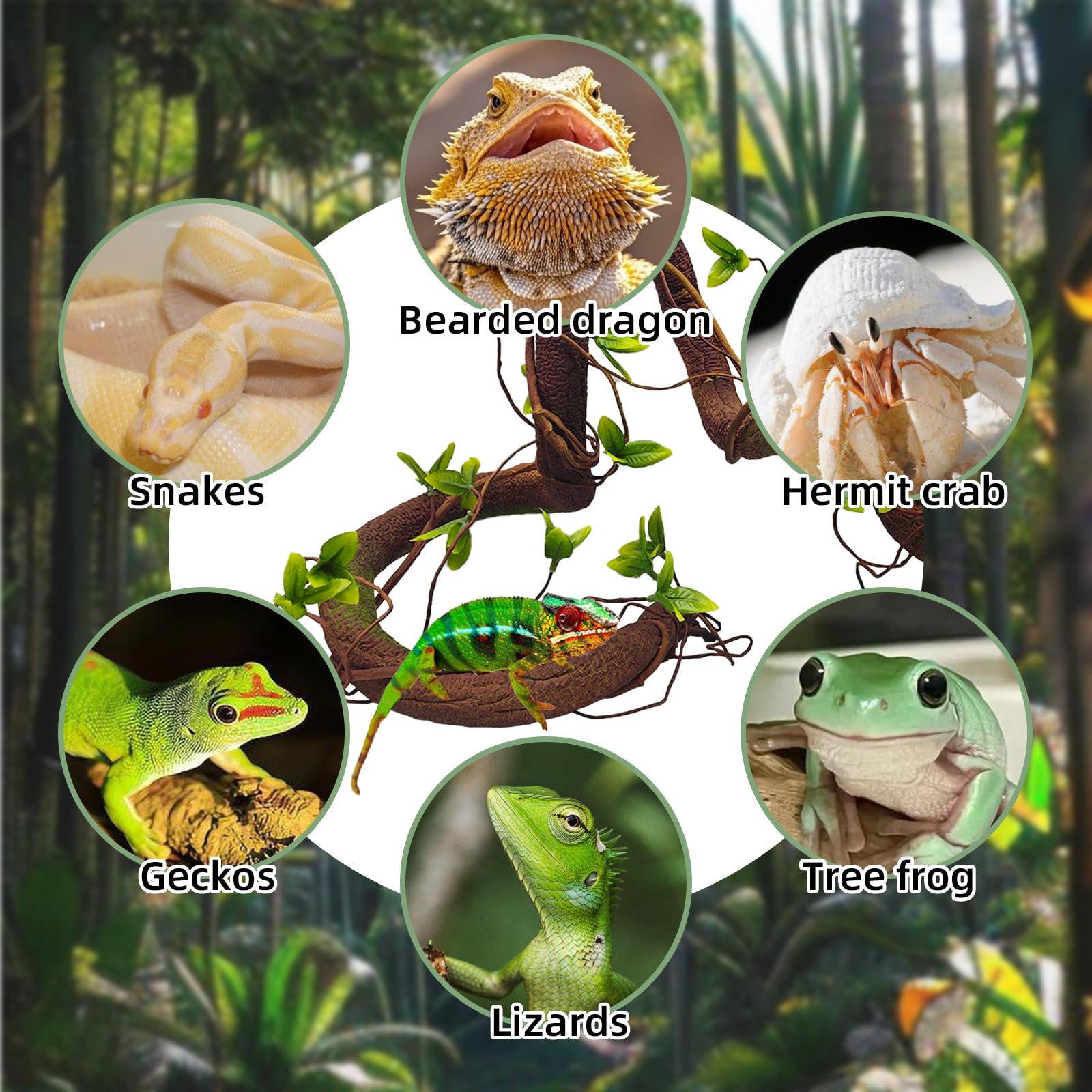 BNOSDM green bud decoration brightens reptile habitat with lively accents