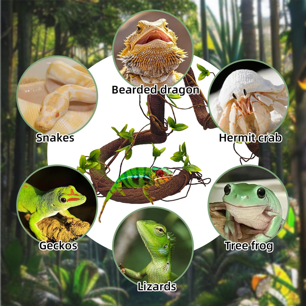 BNOSDM green bud decoration brightens reptile habitat with lively accents