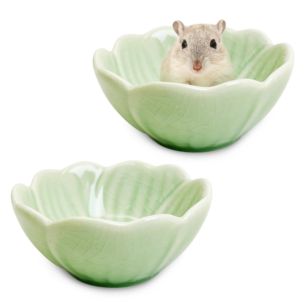 BNOSDM green narcissus design bowl adds color and style to your pet's habitat.