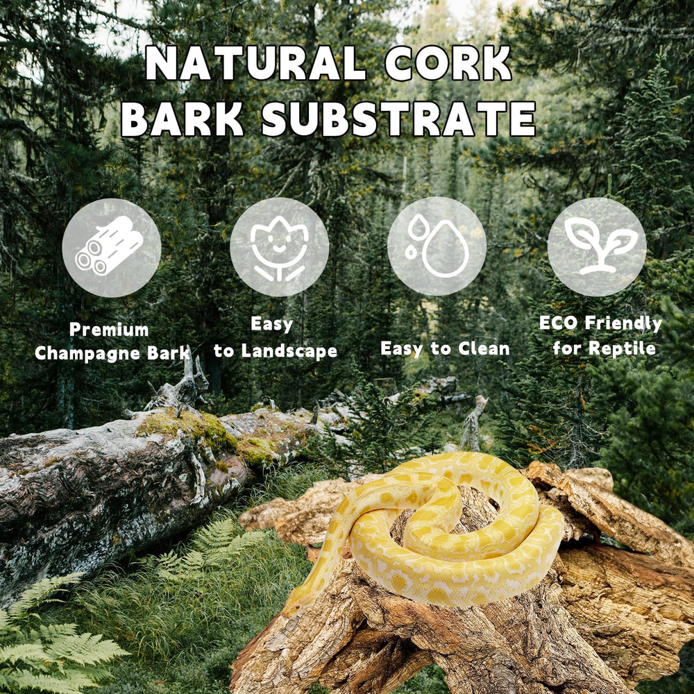BNOSDM habitat-decor natural aesthetics show a clean, inviting terrarium look.