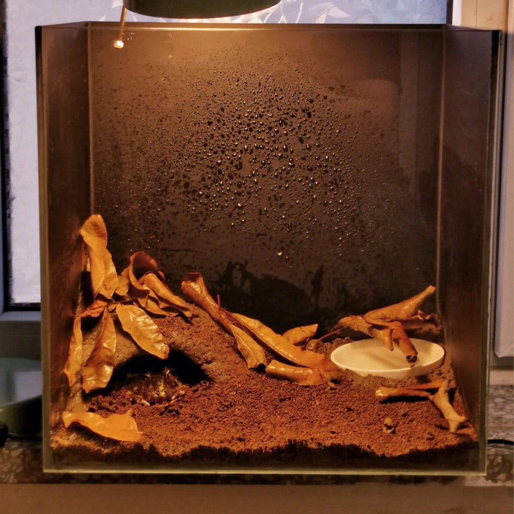 BNOSDM incubation-eggs-turtle substrate suitable for egg incubation.