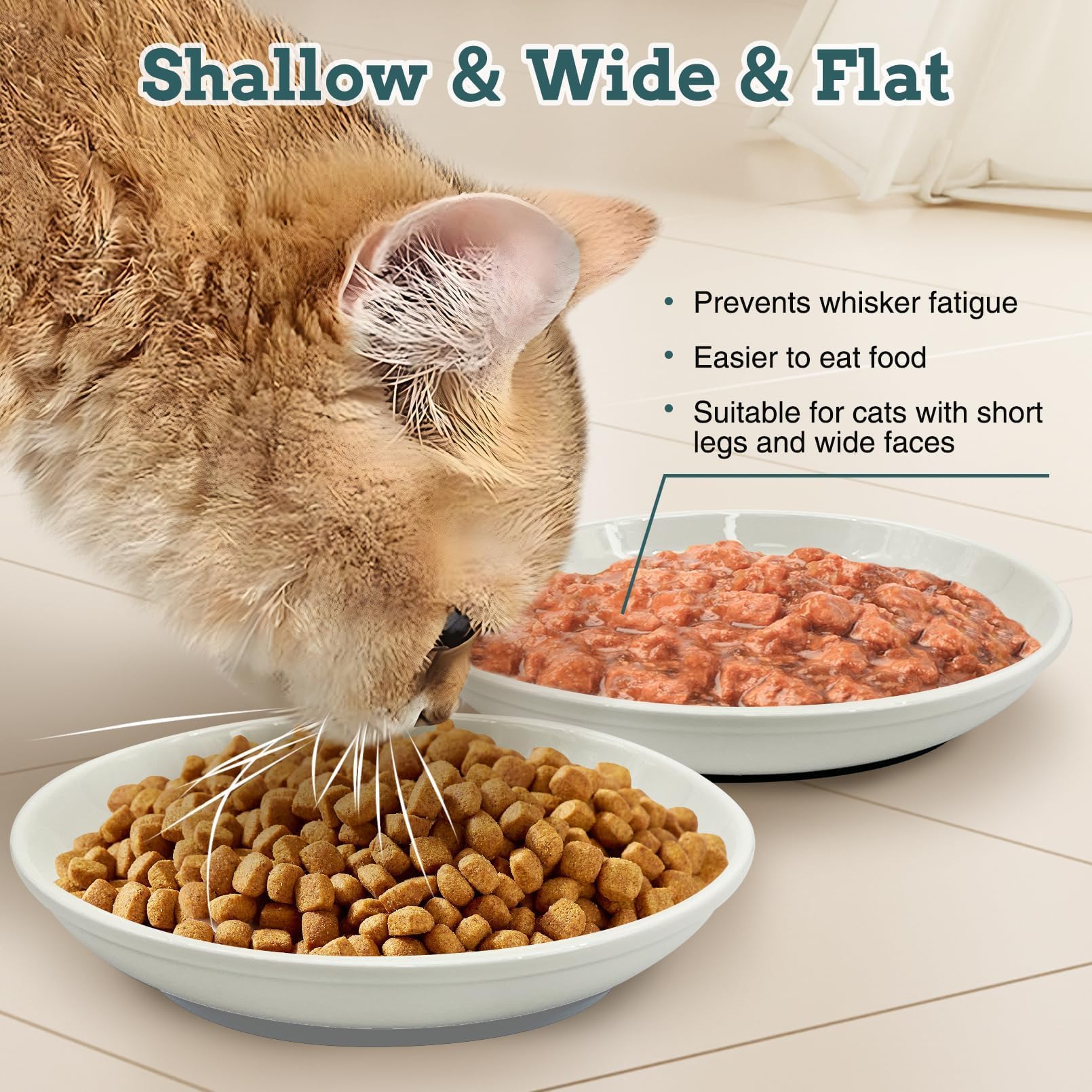 BNOSDM non-skid bowls small-cat-size bowls for petite felines