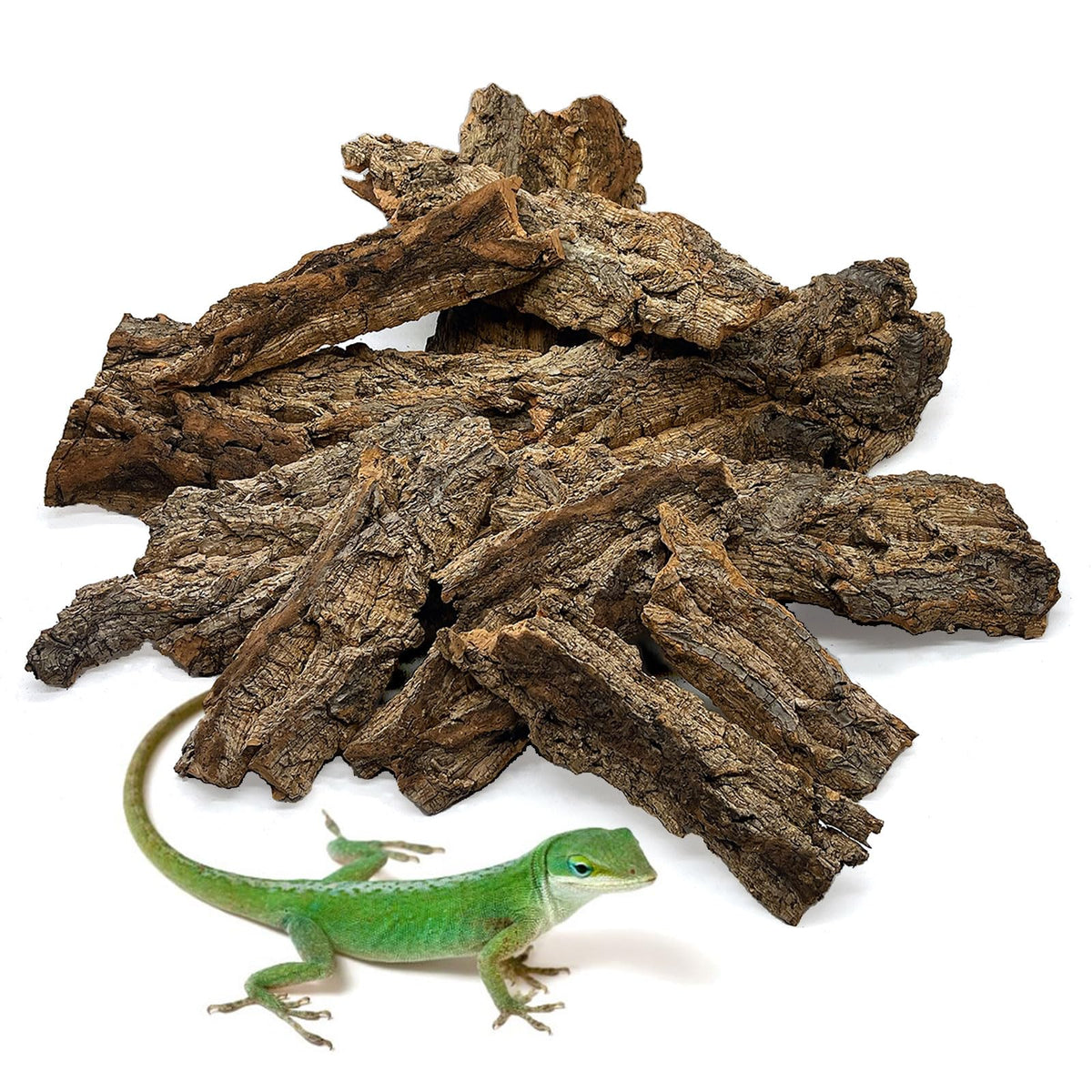 BNOSDM reptile bark bedding setup shows natural cork base for habitat comfort.