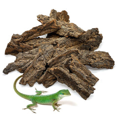 BNOSDM reptile bark bedding setup shows natural cork base for habitat comfort.