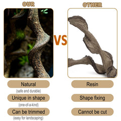 BNOSDM driftwood-style reptile branch decor blends with enclosure