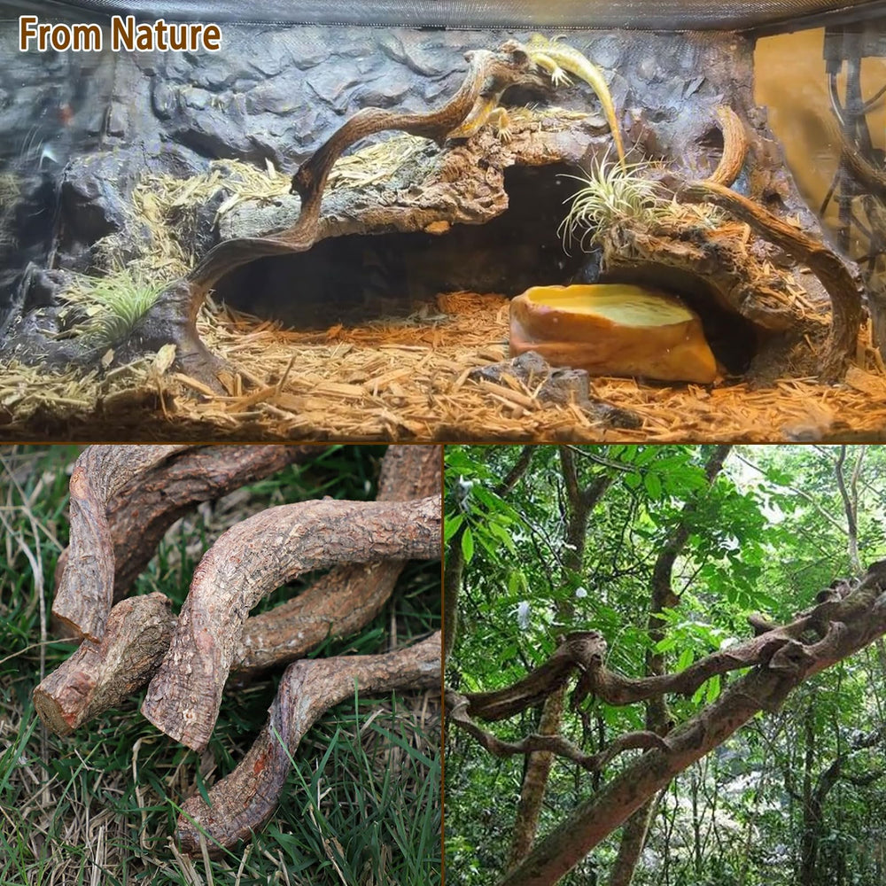BNOSDM reptile branches multi-branch setup with varied climbing routes