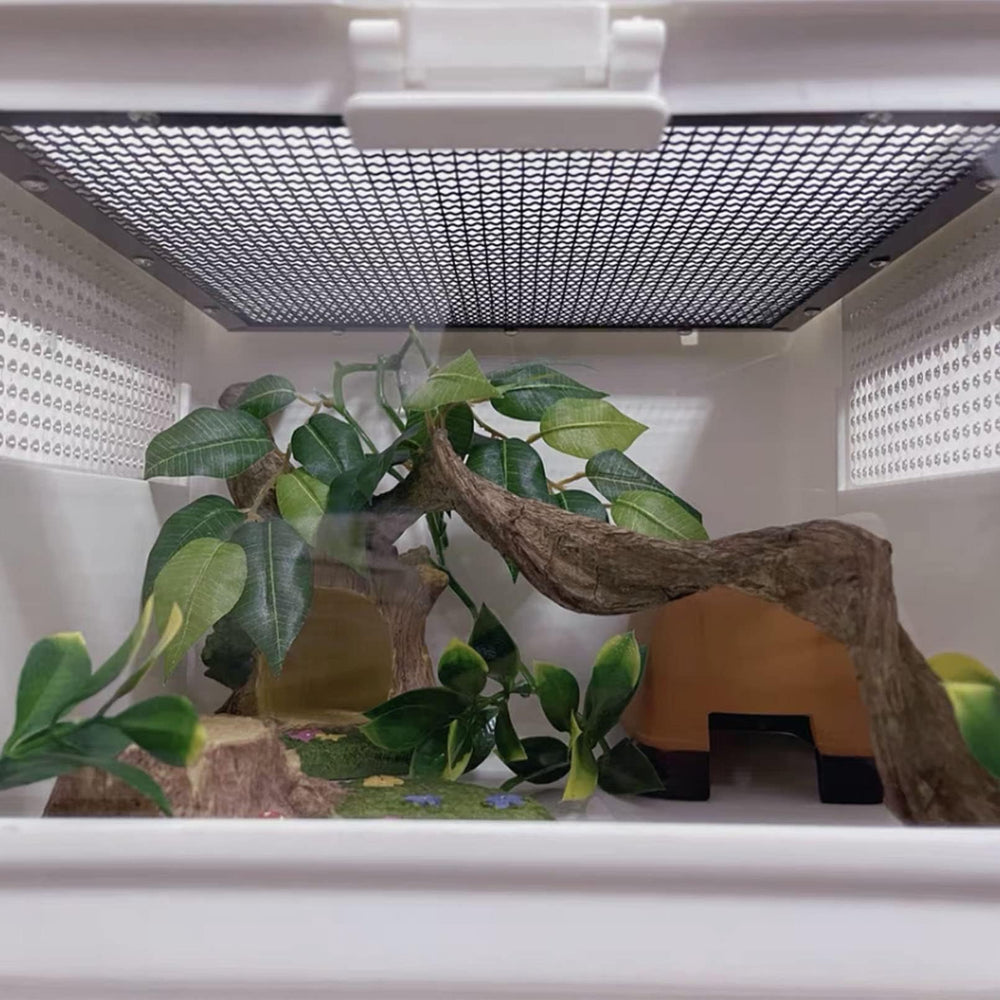 BNOSDM branch is safe and durable wood for reptile play