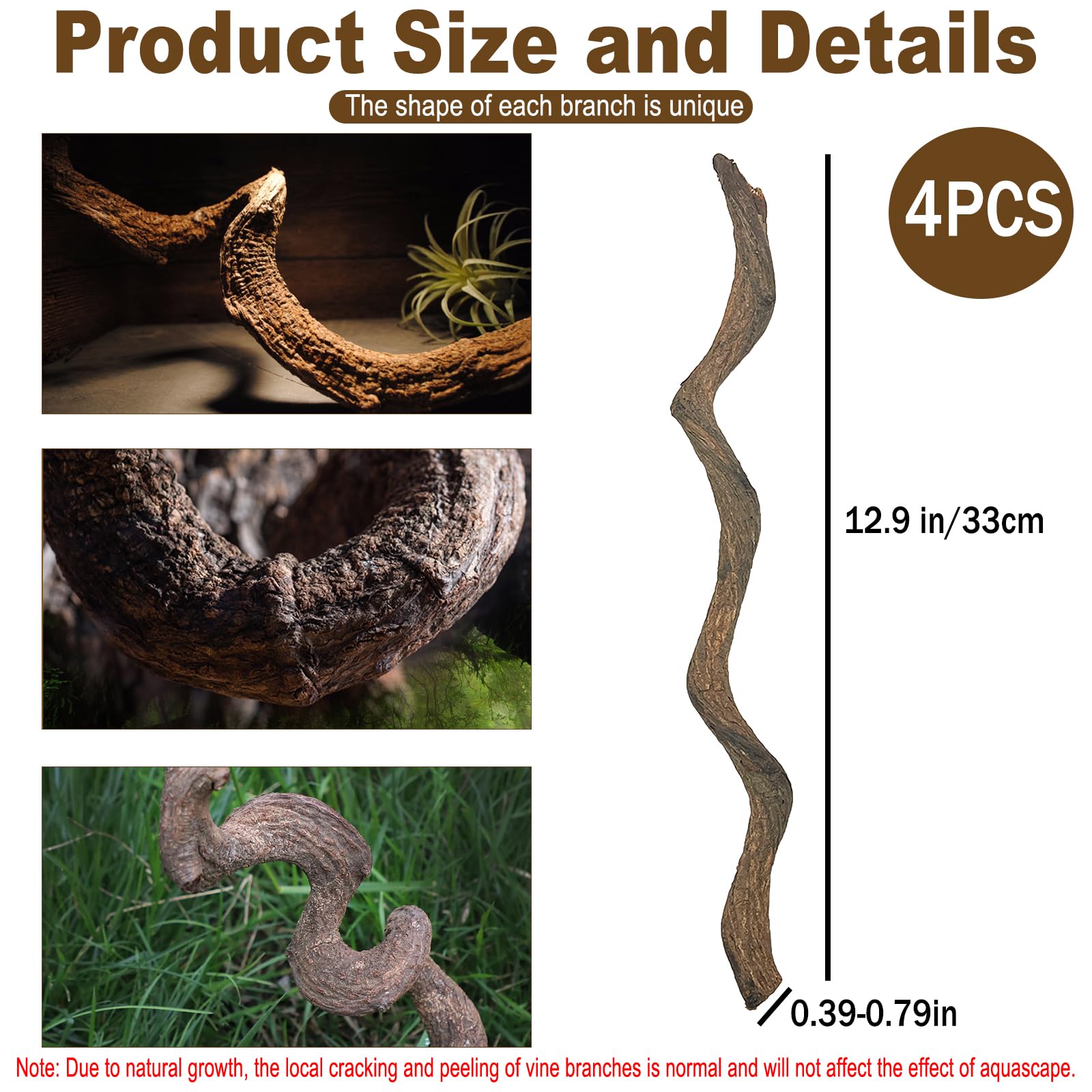 BNOSDM reptile branch sunlit basking position supports natural heat exposure