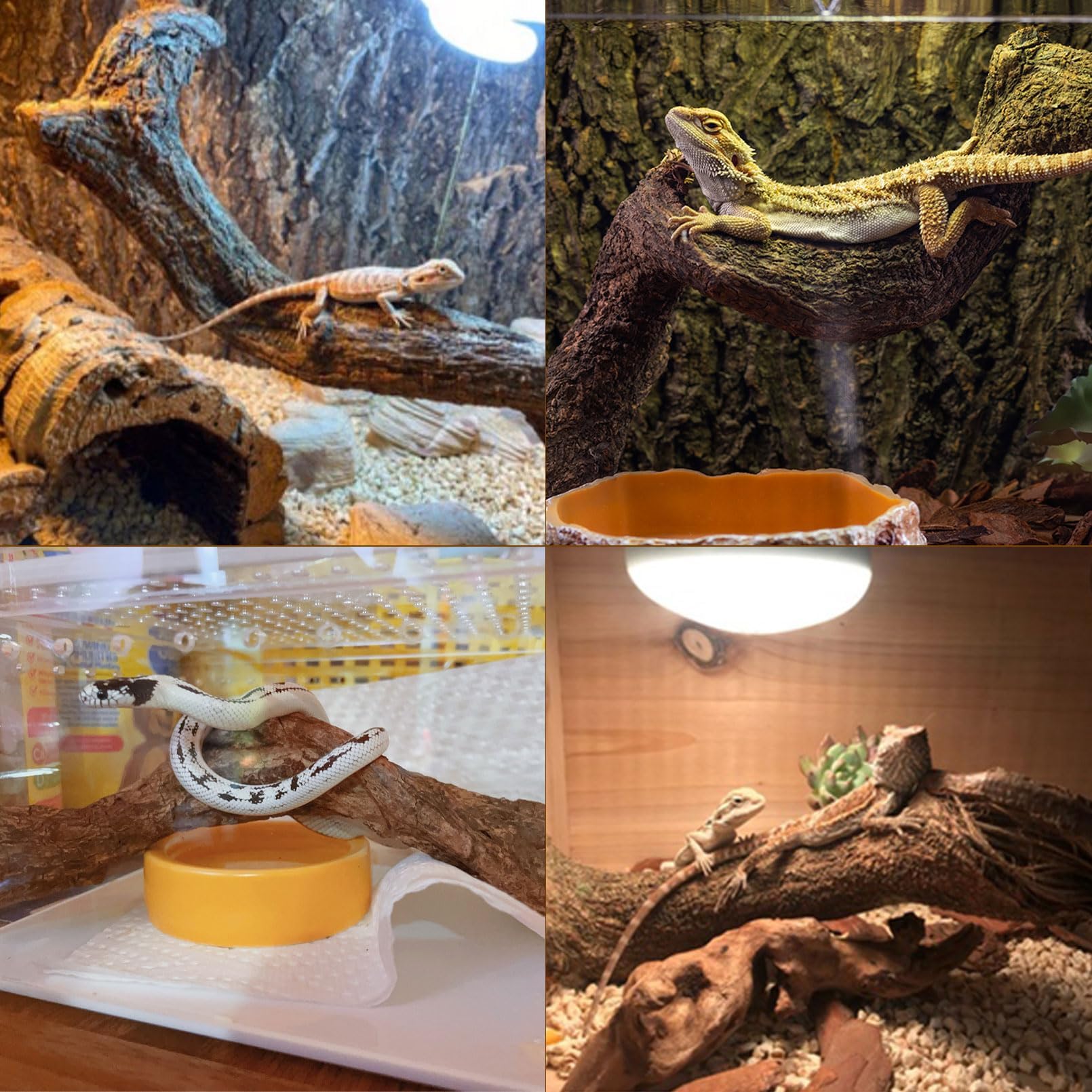 BNOSDM reptile branch installed as tank decor for realistic habitat