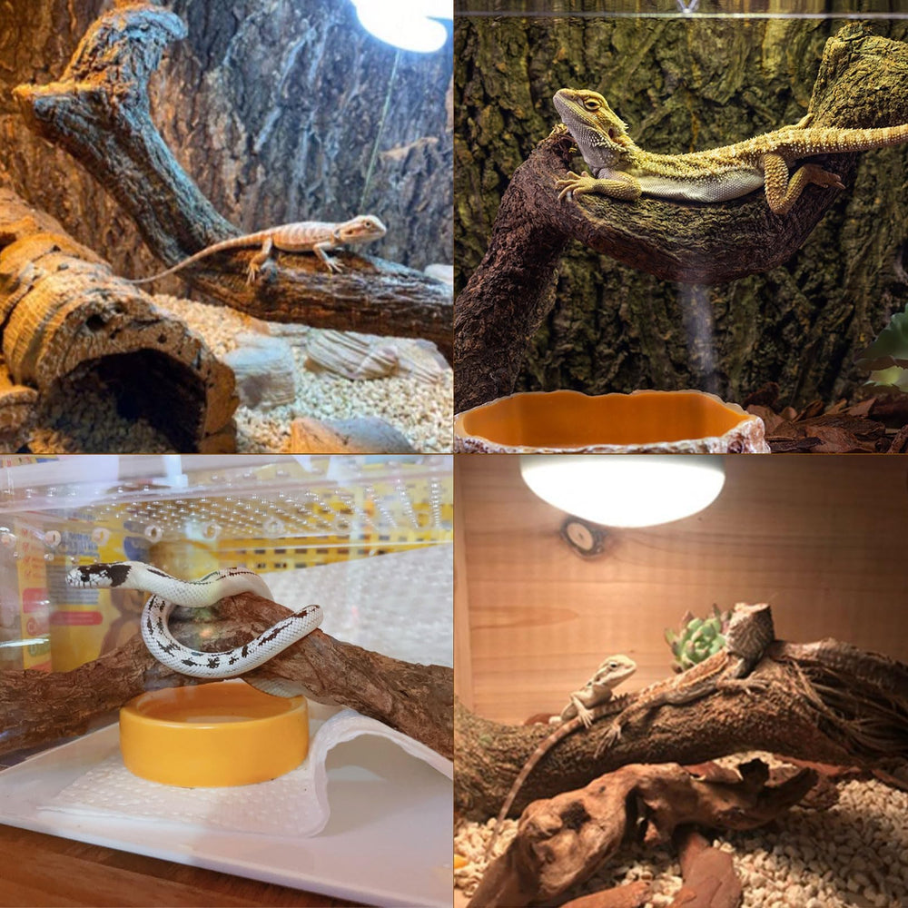 BNOSDM reptile branch installed as tank decor for realistic habitat