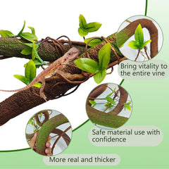 BNOSDM reptile enclosure setup featuring jungle vines and natural aesthetics
