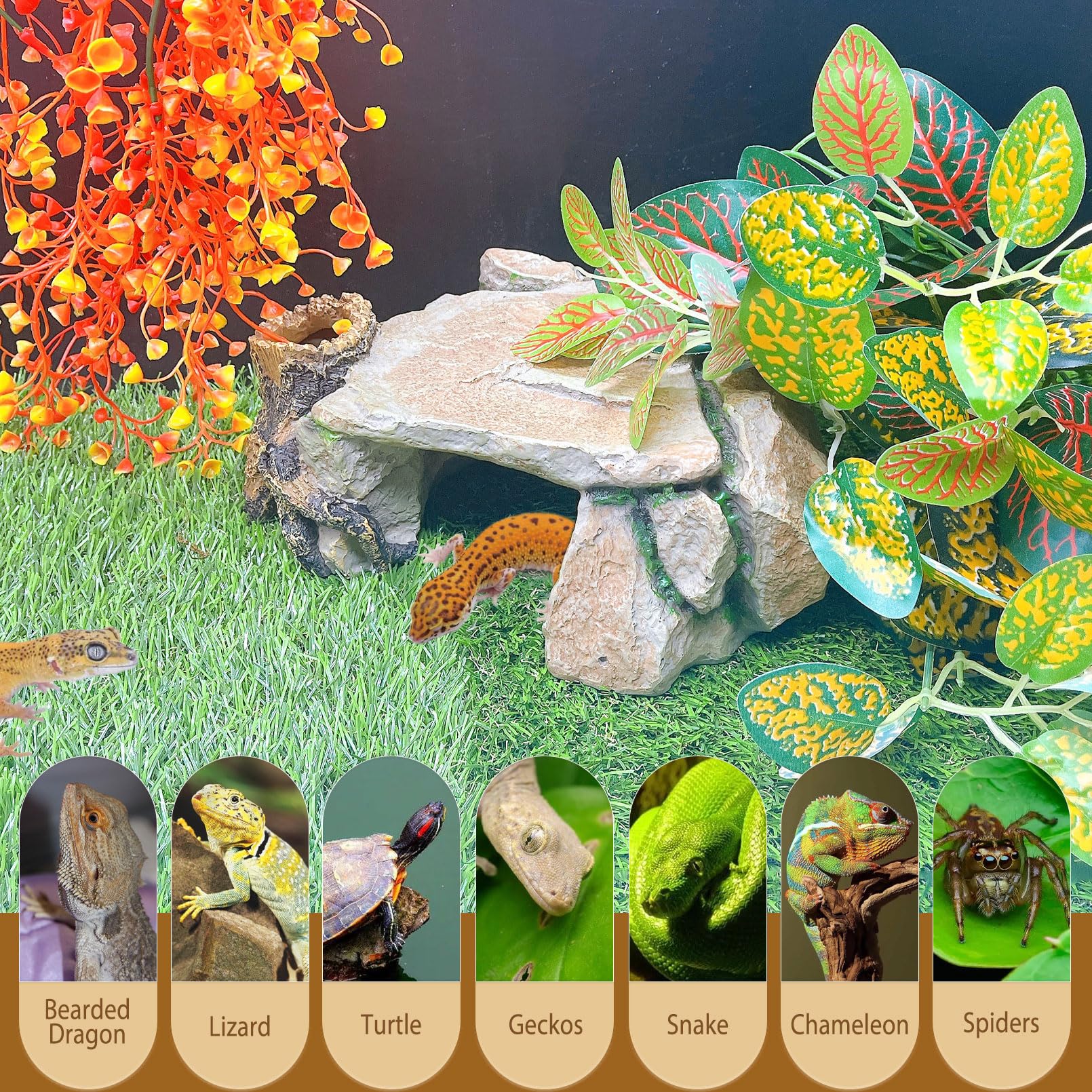 BNOSDM reptile hide cave suitable for bearded dragons turtles lizards leopard geckos snakes axolotls.