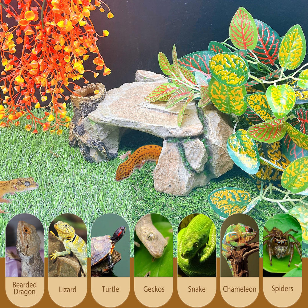 BNOSDM reptile hide cave suitable for bearded dragons turtles lizards leopard geckos snakes axolotls.
