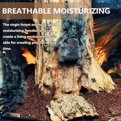 BNOSDM reptile soil substrate moisture retention reduces dryness in long-term housing.