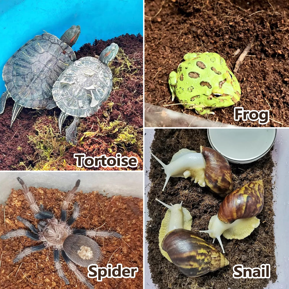 BNOSDM reptile soil substrate can be reused as outdoor garden fertilizer.