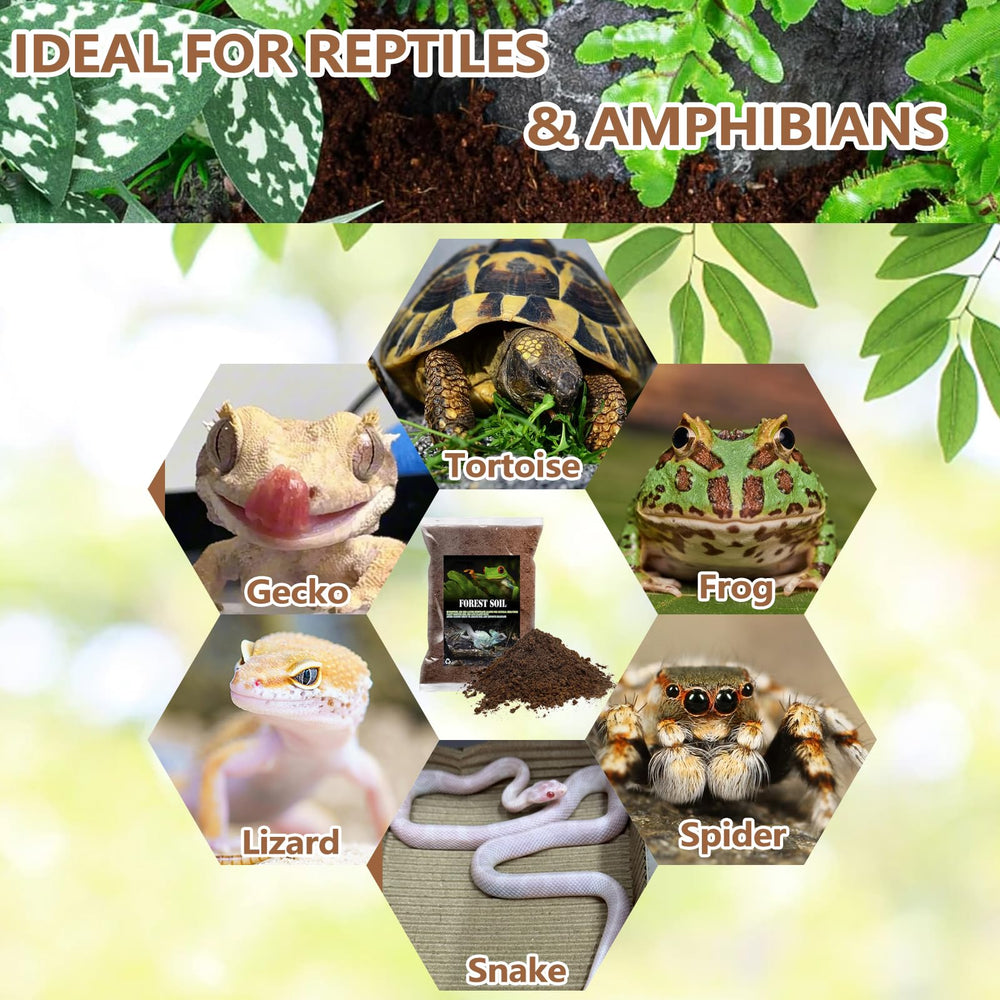 BNOSDM reptile soil substrate shown in terrarium setup for easy bedding.