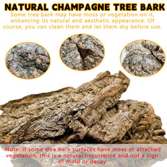 BNOSDM reptile substrate moisture retention aids stable terrarium humidity.
