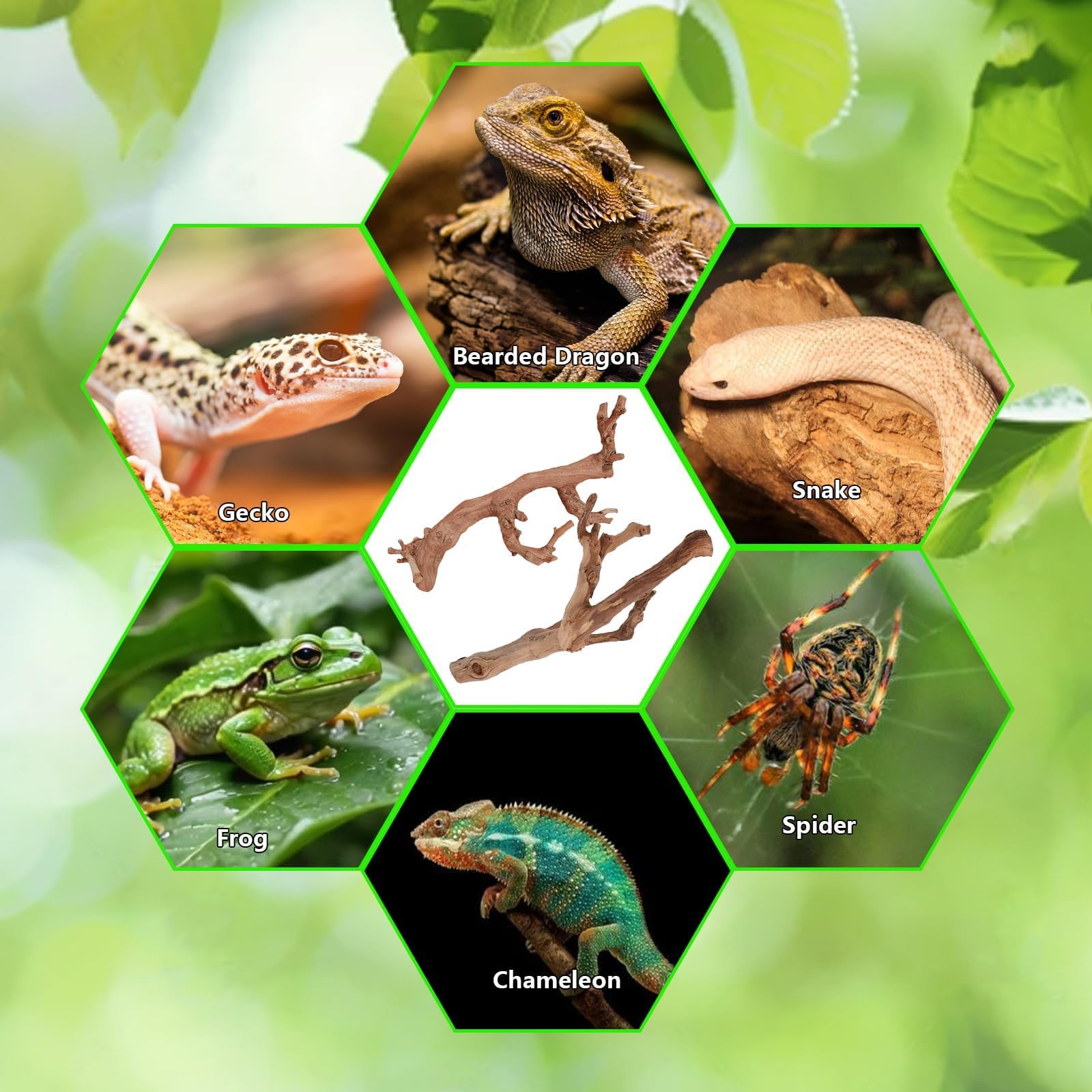 BNOSDM reptile wood branch eco-friendly décor for mindful enclosure design
