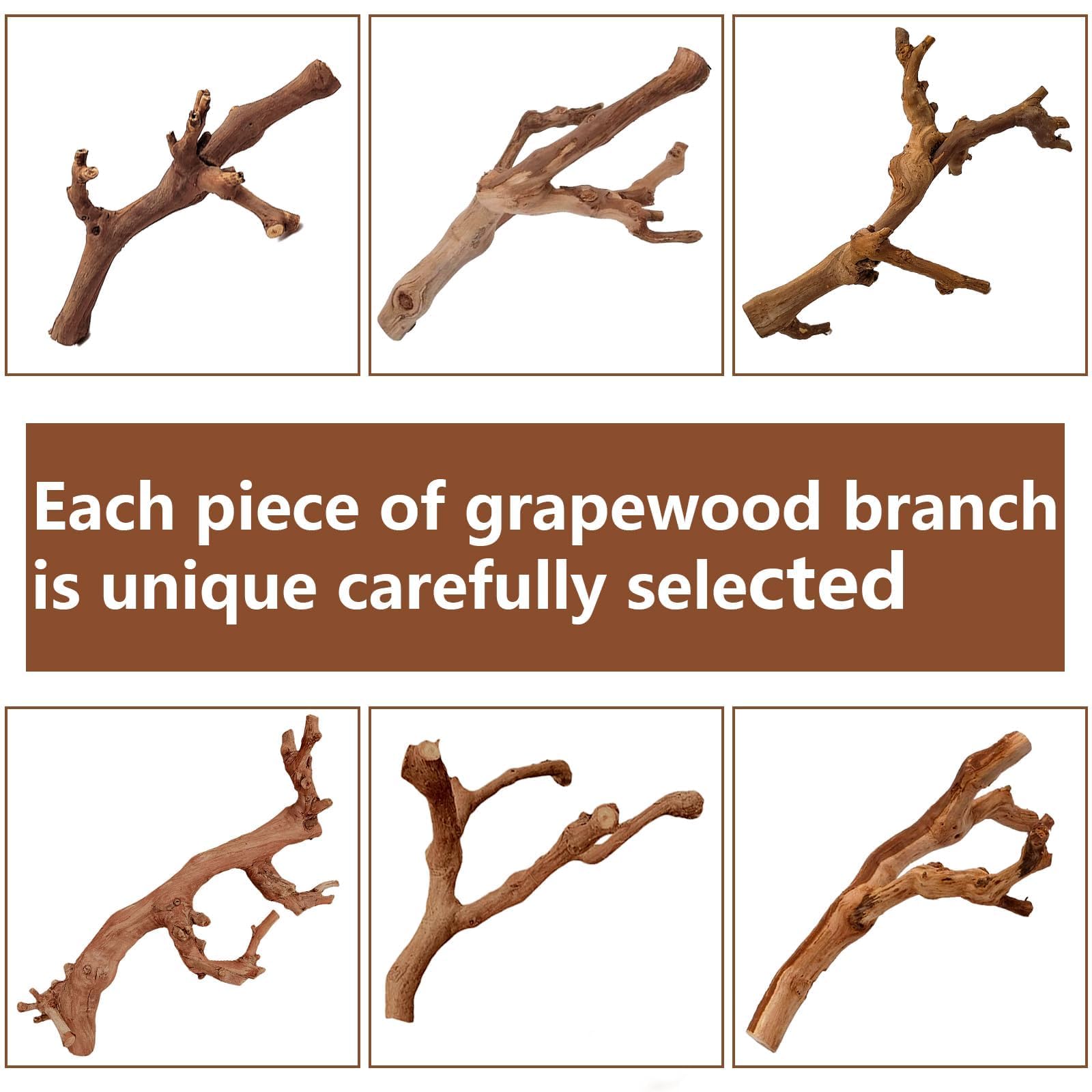 BNOSDM reptile wood branch safety-first design supports relaxed exploration