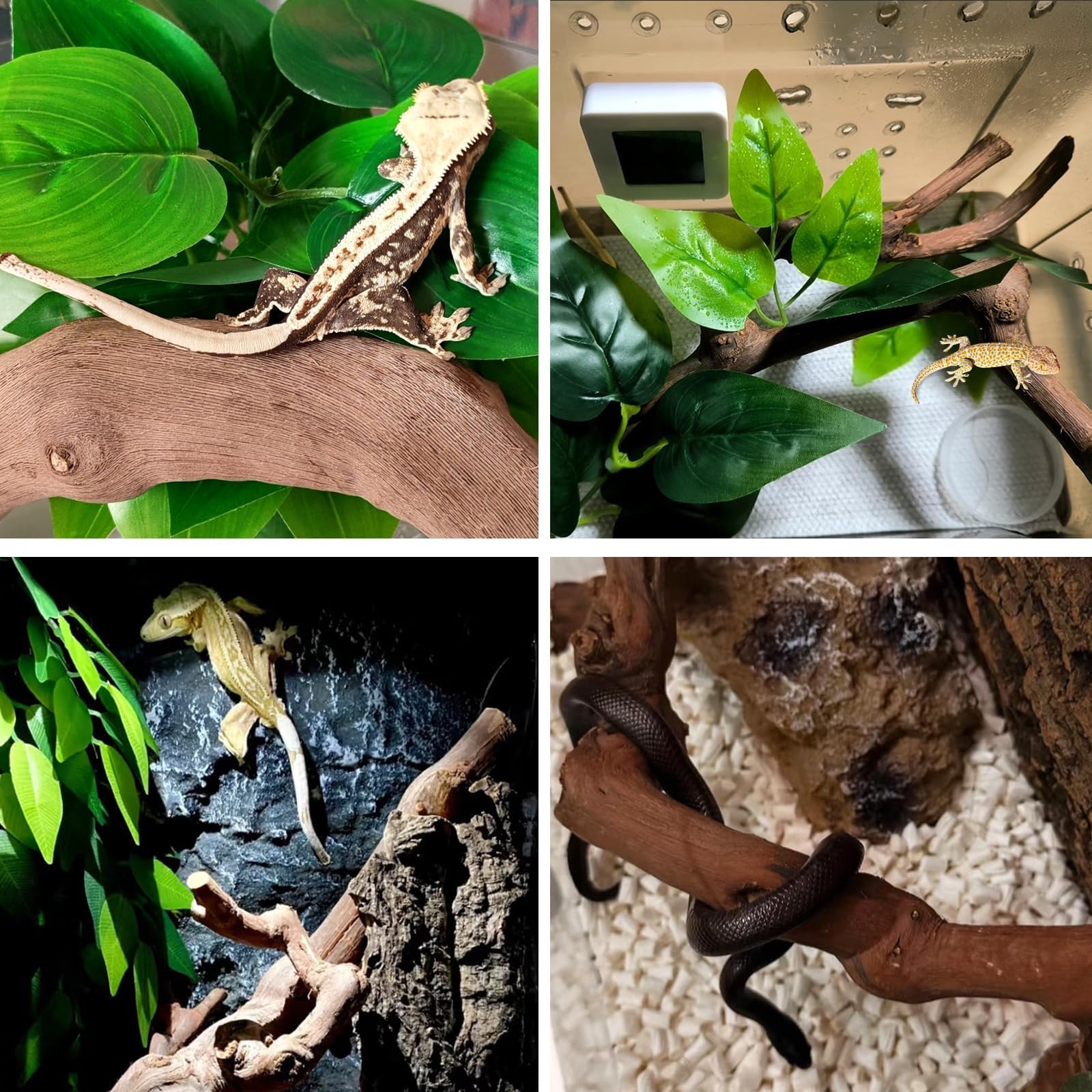 BNOSDM reptile wood branch split-shape offers varied perching spots