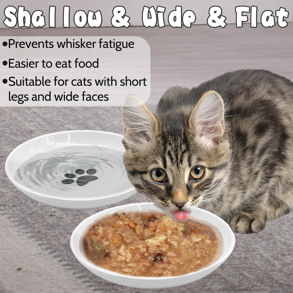 BNOSDM small cat dish sized 5.9 inches for compact meals