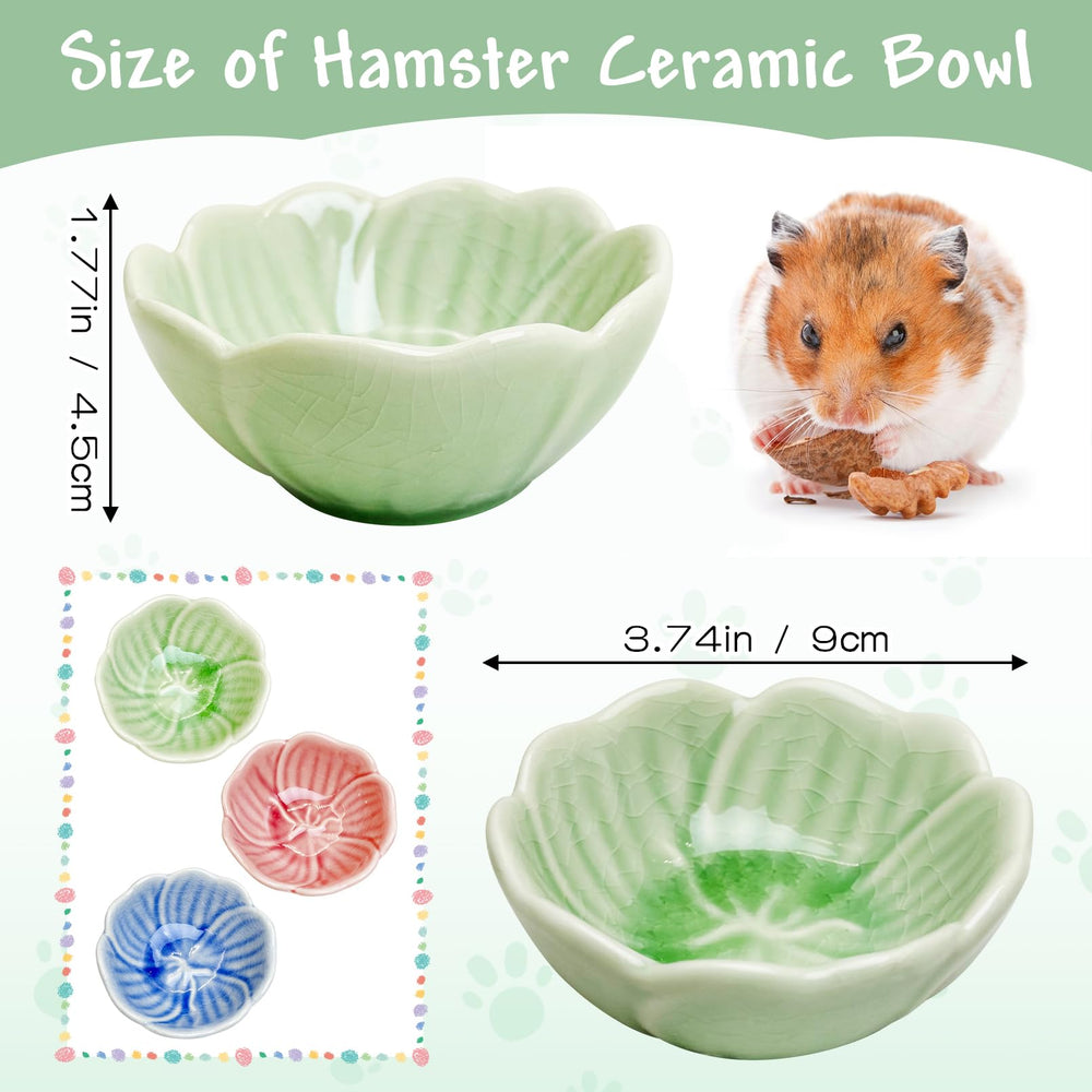 BNOSDM space-saving feeding dish fits compact enclosures without clutter.