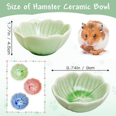 BNOSDM space-saving feeding dish fits compact enclosures without clutter.