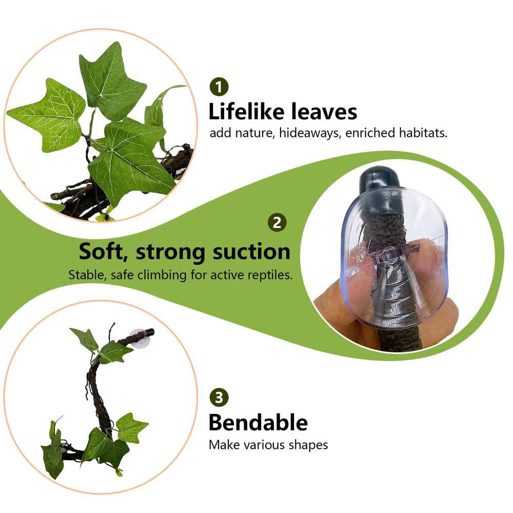 BNOSDM suction cups for reptile decor secure attachment in terrarium