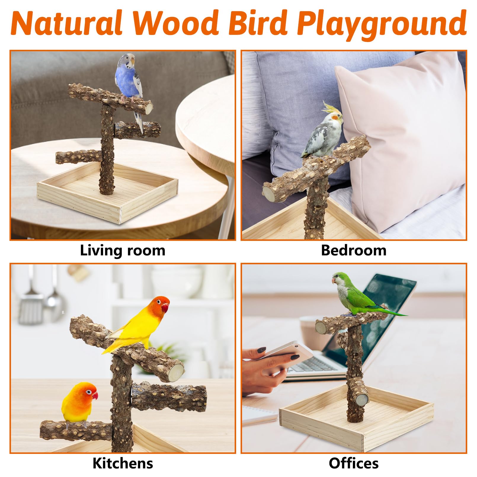BNOSDM can accommodate several small parrots for shared playtime