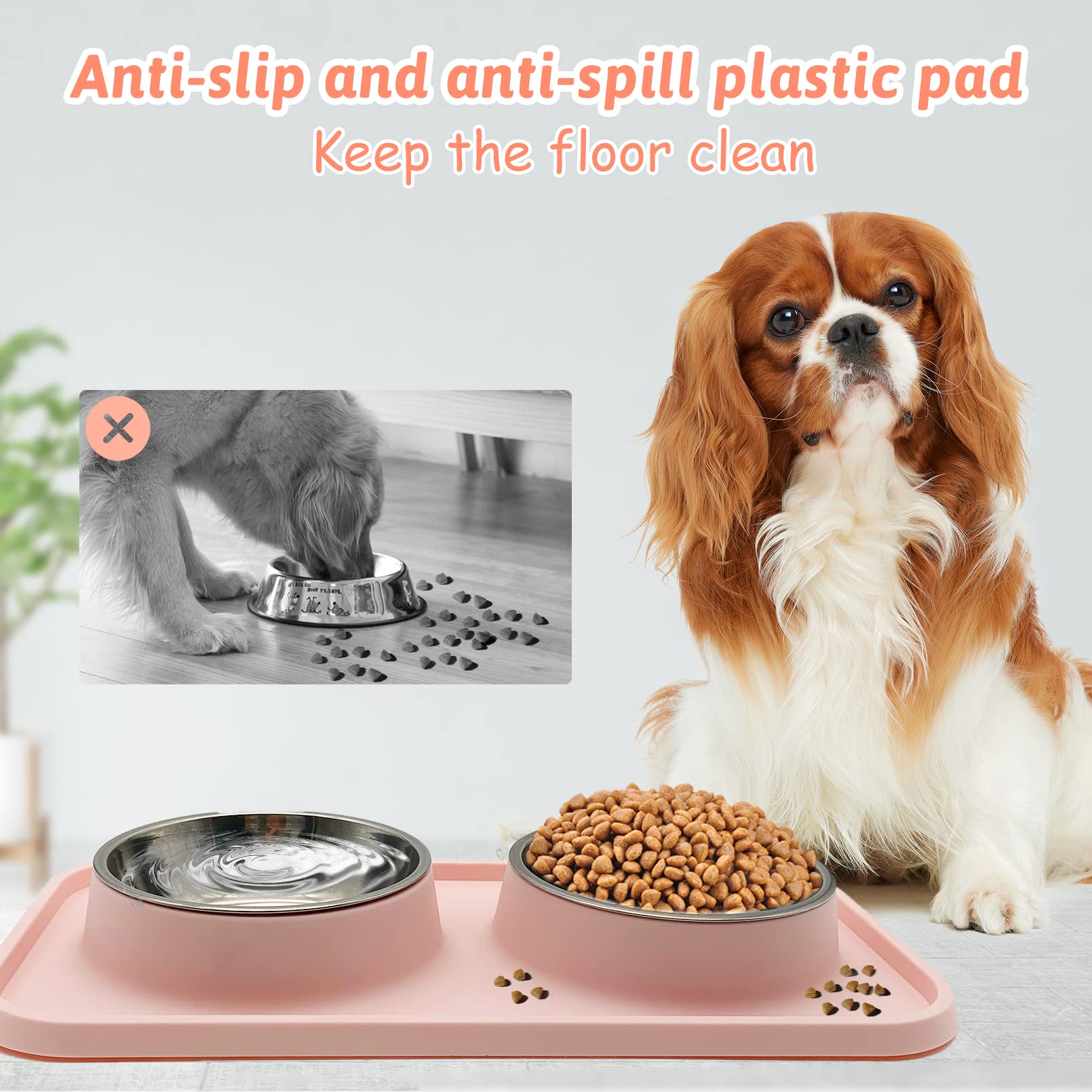 BNOSDM two bowls set for puppies and kittens sharing meals