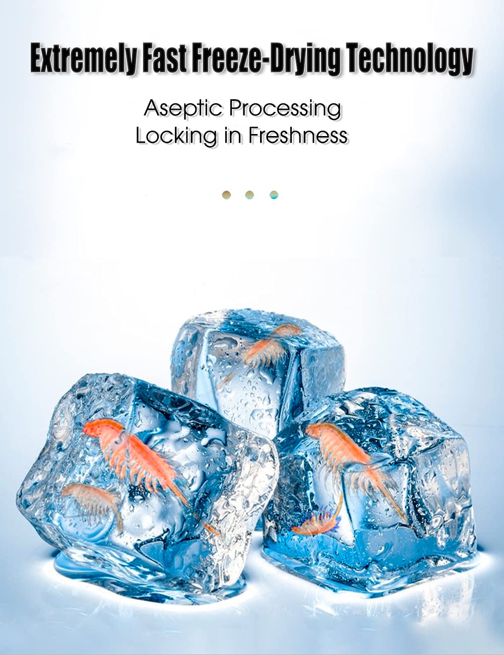 BNYEE brine shrimp cubes fed to tropical fish demonstrating easy feeding and growth support.