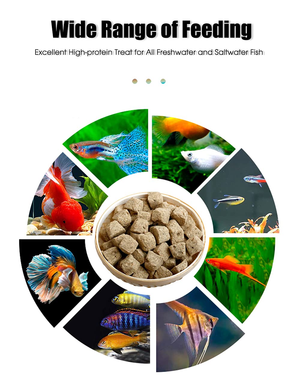 BNYEE brine shrimp cubes used during fry rearing suggest color and development benefits.